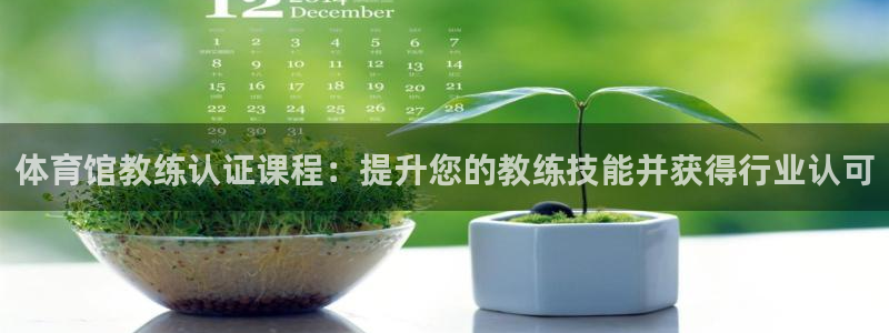 欧陆娱乐注册代理多少钱：体育馆教练认证课程：提升您的教练技能