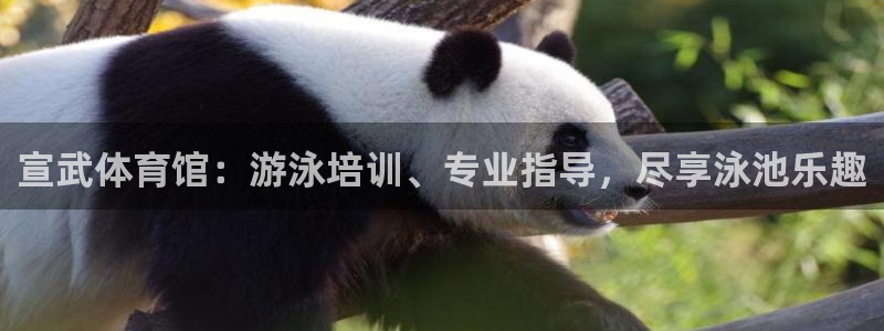 欧陆娱乐百科百度：宣武体育馆：游泳培训、专业指导，尽
