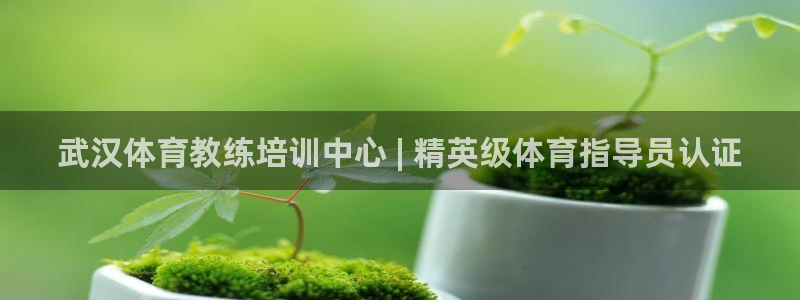欧陆娱乐的故事：武汉体育教练培训中心 | 精英级体育指导员认