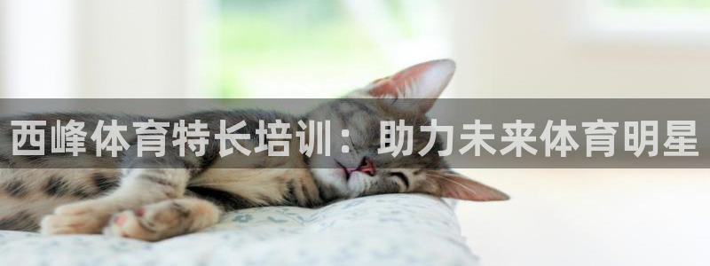 欧陆娱乐注册链接：西峰体育特长培训：助力未来体育明星