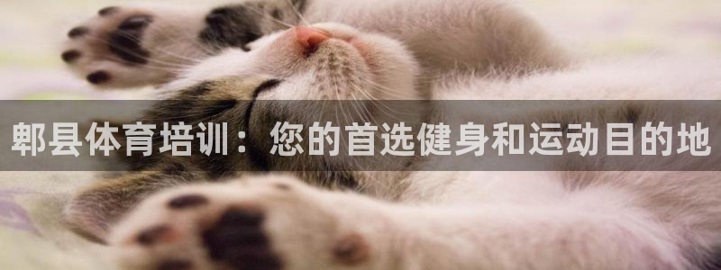 欧陆娱乐平台登录不上怎么回事：郫县体育培训：您的首选