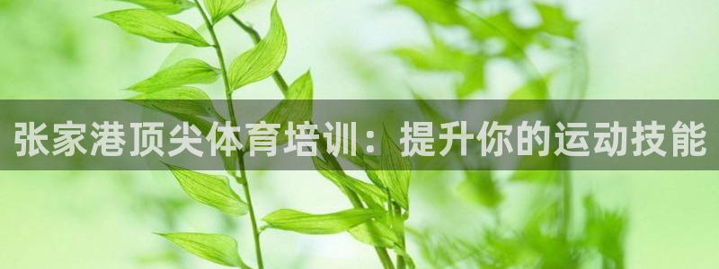 欧陆娱乐挂机项目有哪些：张家港顶尖体育培训：提升你的