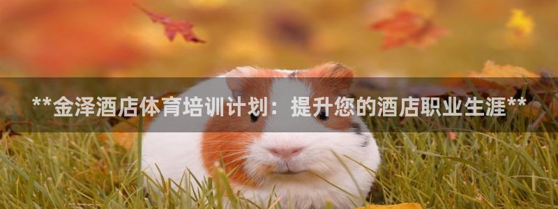 欧陆娱乐官方网站下载：**金泽酒店体育培训计划：提升您的酒店