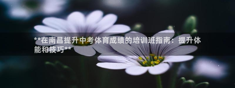 重庆欧陆娱乐有限公司：**在南昌提升中考体育成绩的培