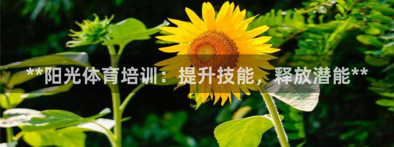 欧陆娱乐平台登陆地址：**阳光体育培训：提升技能，释