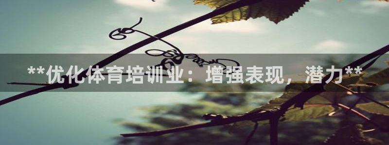 欧陆娱乐是干什么的：**优化体育培训业：增强表现，潜