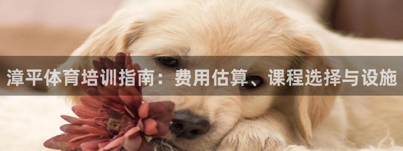 欧陆娱乐代理 贴吧怎么样：漳平体育培训指南：费用估算